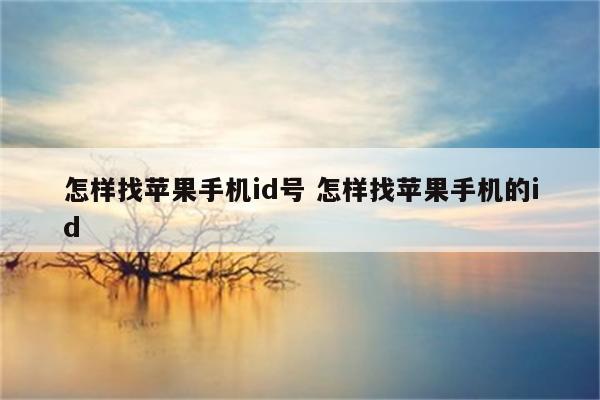 怎样找苹果手机id号 怎样找苹果手机的id