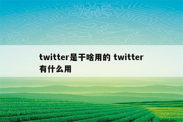 twitter是干啥用的 twitter有什么用