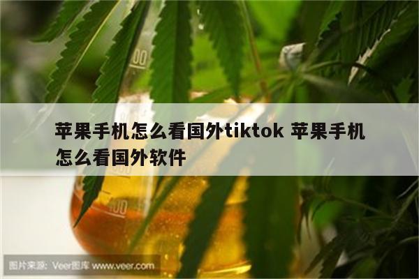 苹果手机怎么看国外tiktok 苹果手机怎么看国外软件