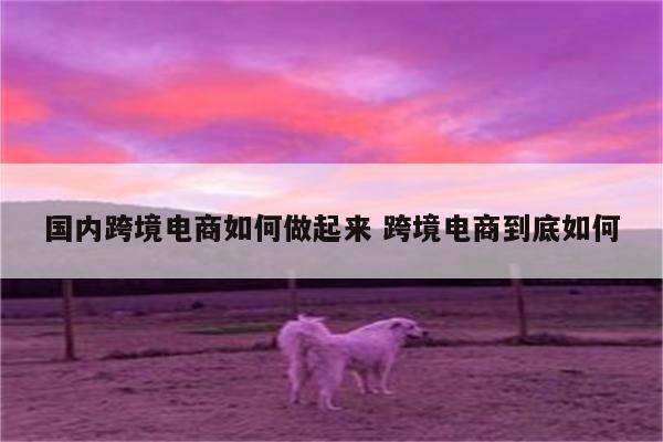 国内跨境电商如何做起来 跨境电商到底如何