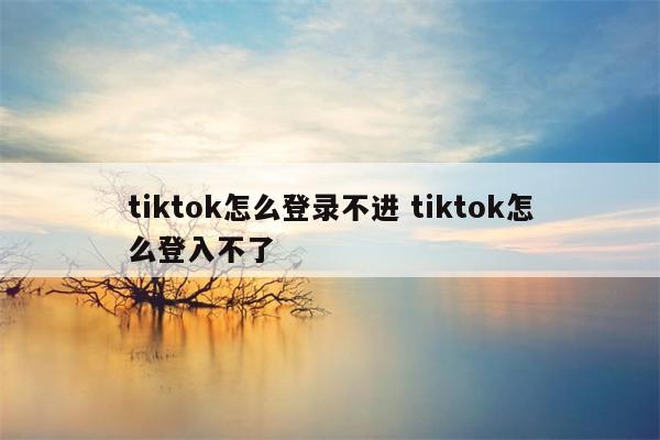tiktok怎么登录不进 tiktok怎么登入不了
