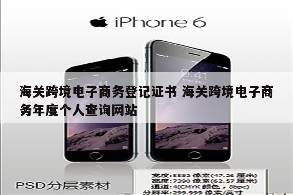 海关跨境电子商务登记证书 海关跨境电子商务年度个人查询网站