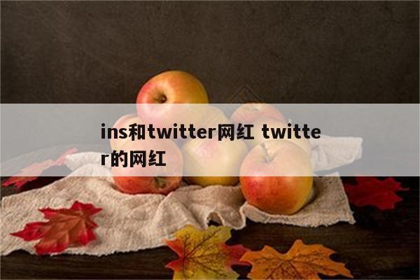 ins和twitter网红 twitter的网红