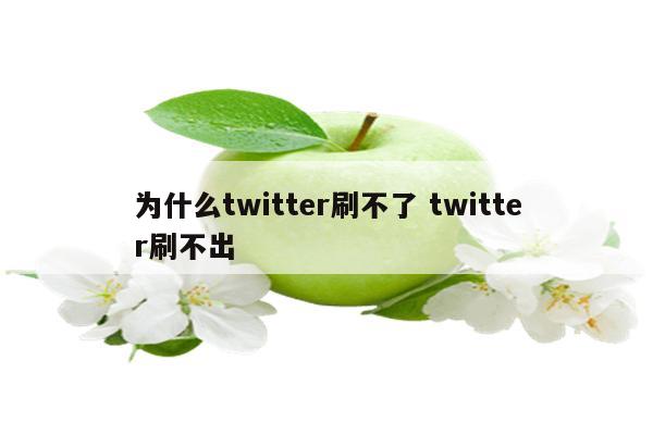 为什么twitter刷不了 twitter刷不出