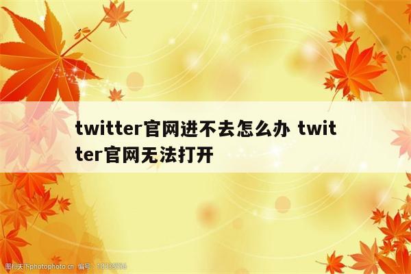 twitter官网进不去怎么办 twitter官网无法打开