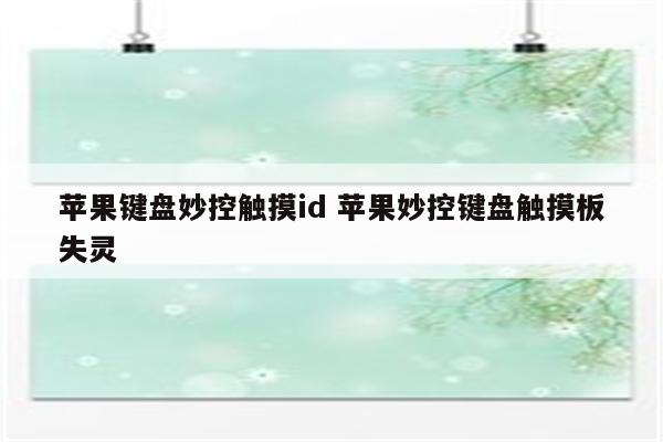 苹果键盘妙控触摸id 苹果妙控键盘触摸板失灵