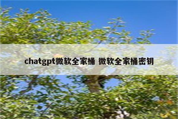 chatgpt微软全家桶 微软全家桶密钥