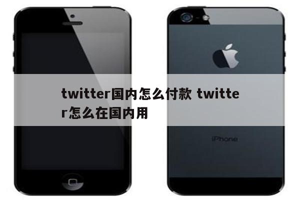 twitter国内怎么付款 twitter怎么在国内用