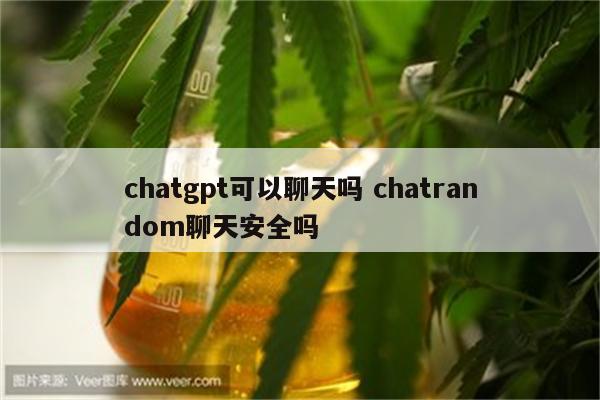 chatgpt可以聊天吗 chatrandom聊天安全吗