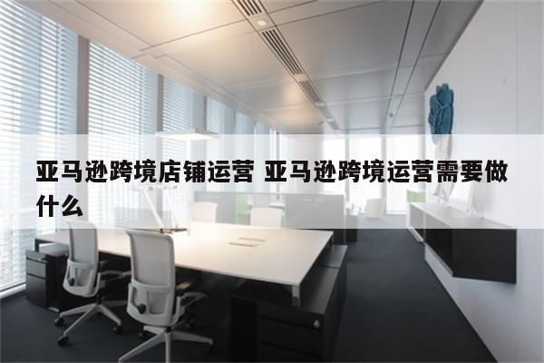 亚马逊跨境店铺运营 亚马逊跨境运营需要做什么