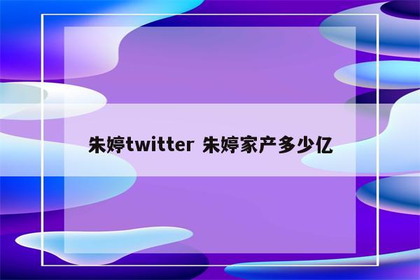 朱婷twitter 朱婷家产多少亿