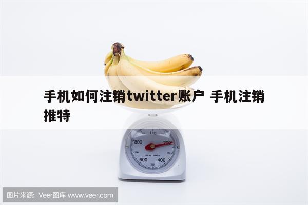 手机如何注销twitter账户 手机注销推特