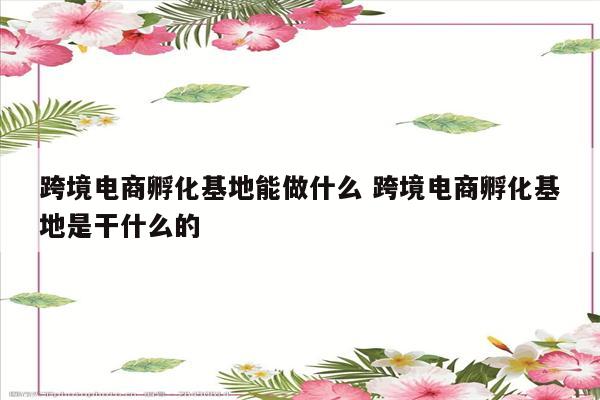 跨境电商孵化基地能做什么 跨境电商孵化基地是干什么的