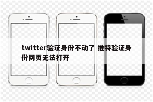 twitter验证身份不动了 推特验证身份网页无法打开