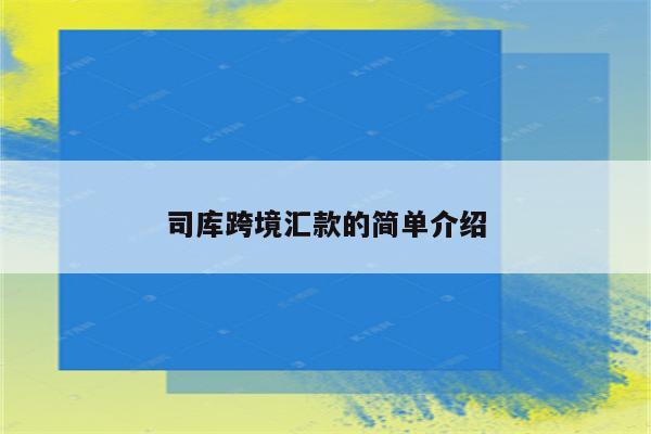 司库跨境汇款的简单介绍