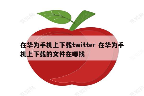 在华为手机上下载twitter 在华为手机上下载的文件在哪找