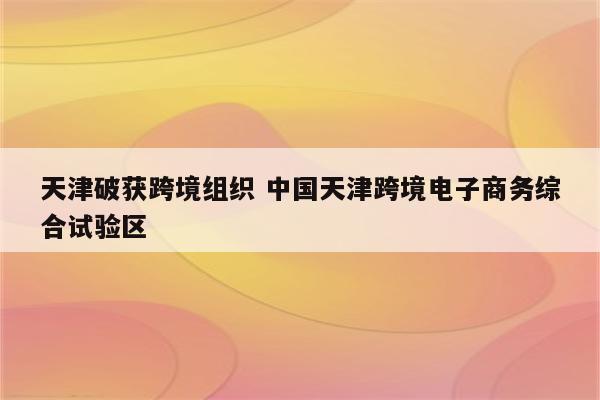 天津破获跨境组织 中国天津跨境电子商务综合试验区