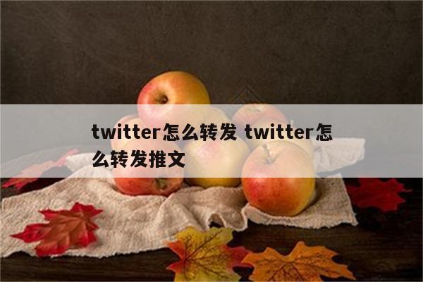 twitter怎么转发 twitter怎么转发推文