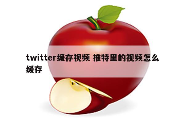 twitter缓存视频 推特里的视频怎么缓存