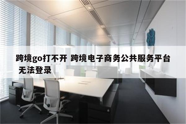 跨境go打不开 跨境电子商务公共服务平台 无法登录