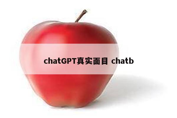 chatGPT真实面目 chatb