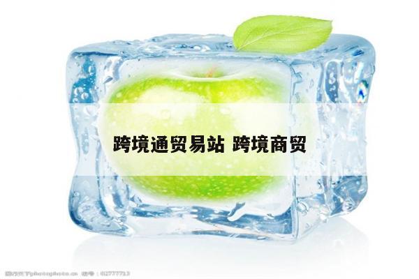 跨境通贸易站 跨境商贸
