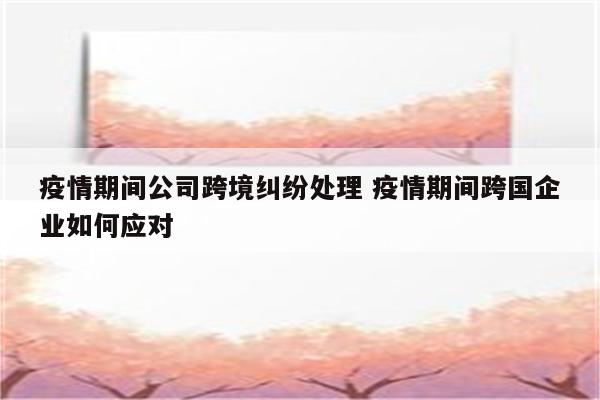 疫情期间公司跨境纠纷处理 疫情期间跨国企业如何应对