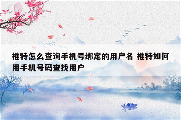 推特怎么查询手机号绑定的用户名 推特如何用手机号码查找用户