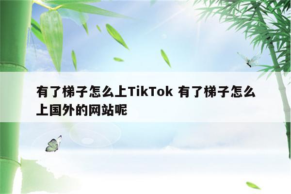 有了梯子怎么上TikTok 有了梯子怎么上国外的网站呢