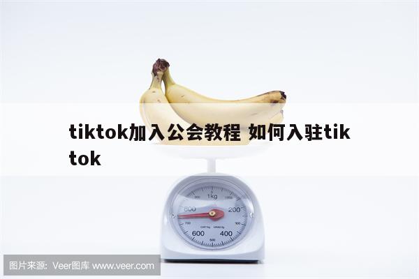 tiktok加入公会教程 如何入驻tiktok