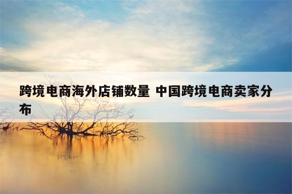 跨境电商海外店铺数量 中国跨境电商卖家分布