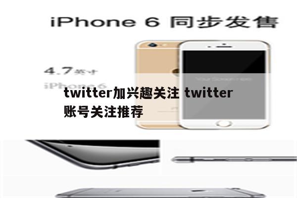 twitter加兴趣关注 twitter账号关注推荐