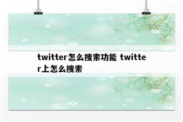 twitter怎么搜索功能 twitter上怎么搜索