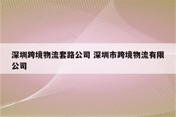 深圳跨境物流套路公司 深圳市跨境物流有限公司