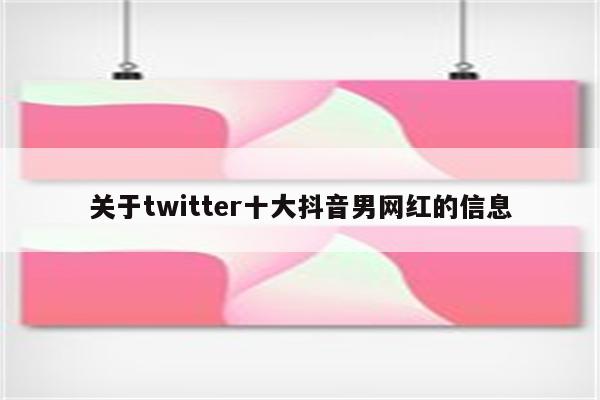 关于twitter十大抖音男网红的信息