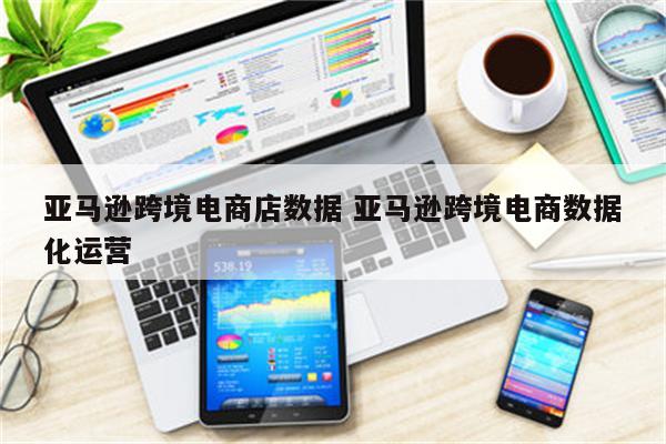 亚马逊跨境电商店数据 亚马逊跨境电商数据化运营