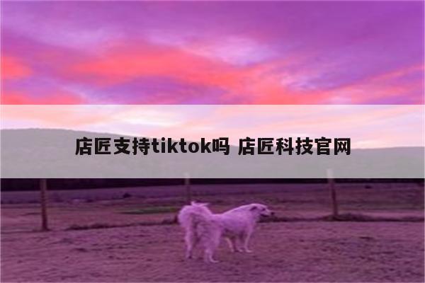 店匠支持tiktok吗 店匠科技官网