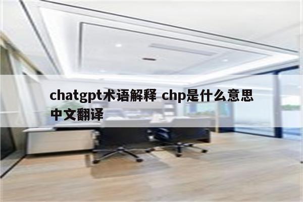 chatgpt术语解释 chp是什么意思中文翻译