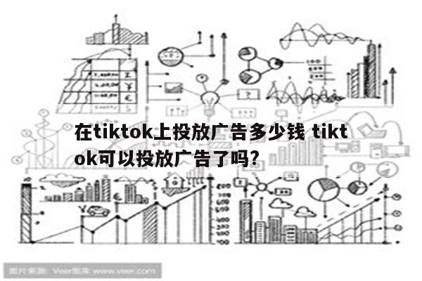 在tiktok上投放广告多少钱 tiktok可以投放广告了吗?