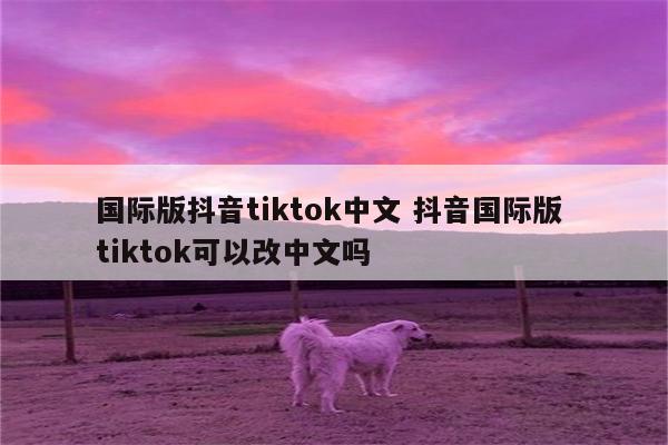 国际版抖音tiktok中文 抖音国际版 tiktok可以改中文吗