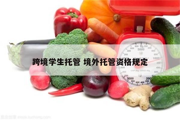 跨境学生托管 境外托管资格规定
