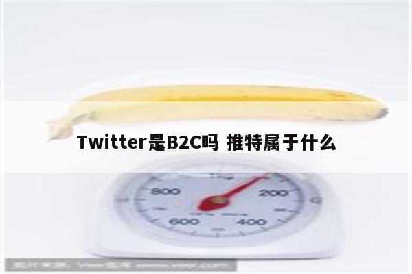 Twitter是B2C吗 推特属于什么