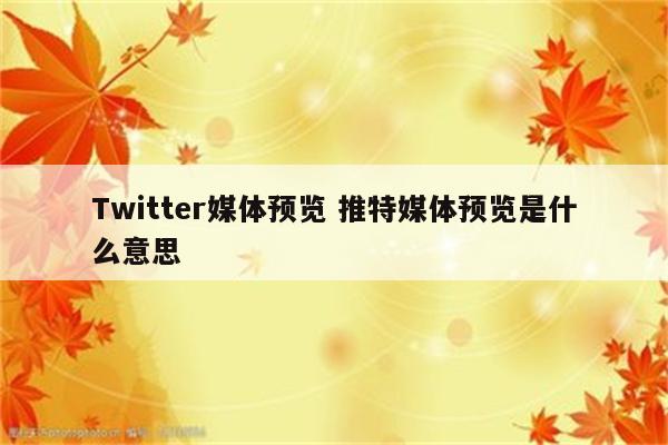 Twitter媒体预览 推特媒体预览是什么意思