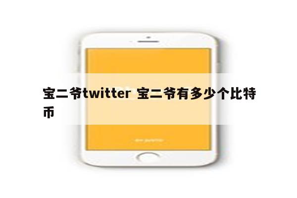 宝二爷twitter 宝二爷有多少个比特币