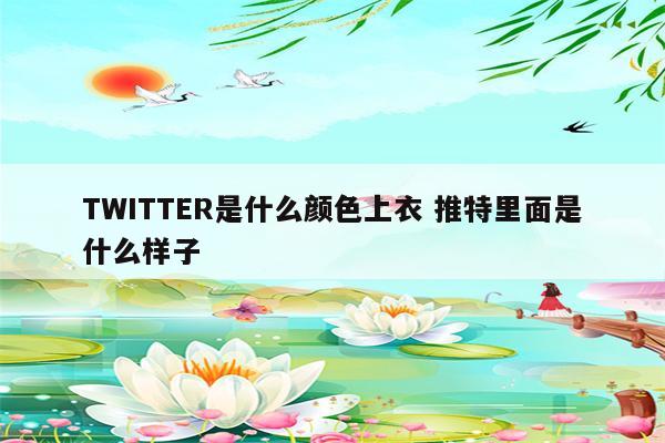 TWITTER是什么颜色上衣 推特里面是什么样子