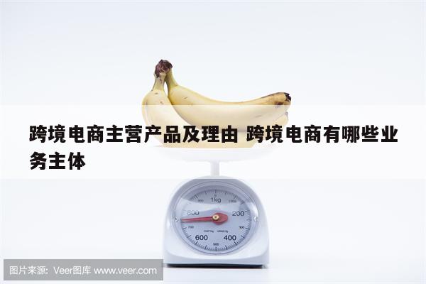 跨境电商主营产品及理由 跨境电商有哪些业务主体