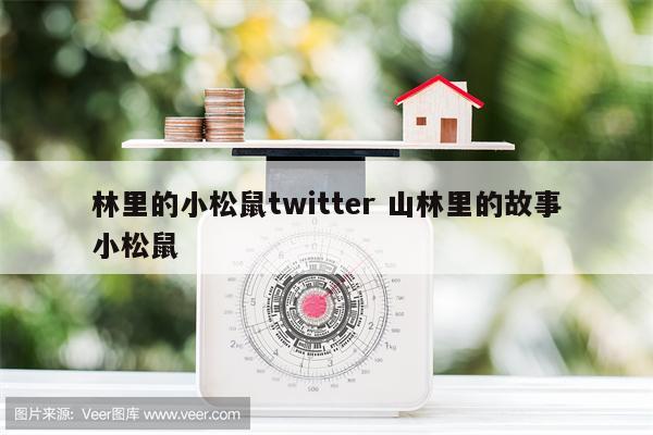 林里的小松鼠twitter 山林里的故事小松鼠