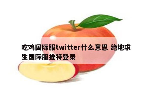 吃鸡国际服twitter什么意思 绝地求生国际服推特登录