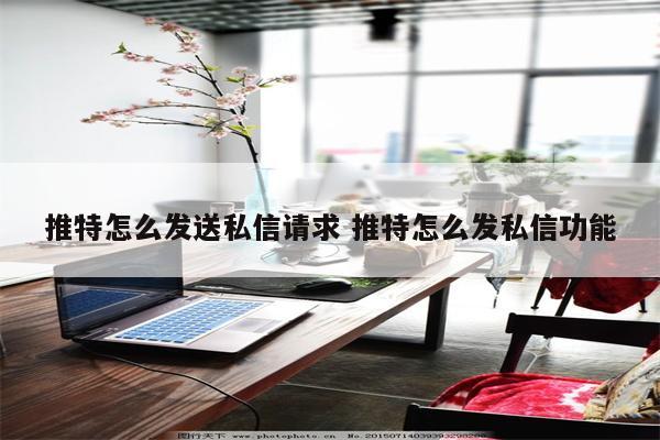 推特怎么发送私信请求 推特怎么发私信功能