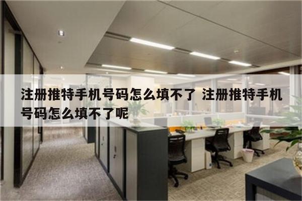 注册推特手机号码怎么填不了 注册推特手机号码怎么填不了呢